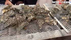 彰化,王功,蚵殼,一般垃圾,回收,漁火節,垃圾,分類（圖／翻攝畫面）