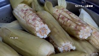 夜市買玉米3根230　業者駁：坐高速來的