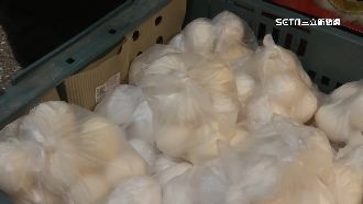 虎爺祝壽成雞蛋富翁　廟方免費送2000顆