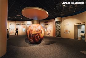 噁男科博館偷拍女童　逃逸96小時還沒落網(圖/科博館提供)