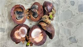 一名女網友在臉書社團「Costco好市多 商品經驗老實說」發文，近日在嘉義好市多買了一盒356元的泰國空運山竹，不料剝開後一看，裡面都是黑色壞掉的果肉，她怒PO照說：「不愉快的購物經驗，整盒雷爆了」。畫面曝光後引起網友熱議。