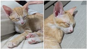 激情,蛋蛋,女友,醫生,網友,泌尿科