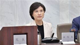 行政院副院長鄭麗君。（圖／行政院提供)