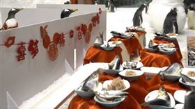 外稿勿用！！除了為「新娘、新郎」設立洞房外，水族館也為其他「賓客」準備大餐。（圖／翻攝自微博）