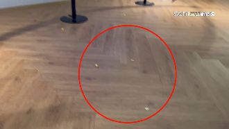 獨／暑假電影院爆人潮　客怨：滿地爆米花