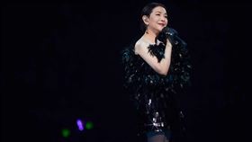 張清芳即將參戰中國節目。（圖／翻攝臉書）