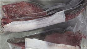 美國牛舌,弓蟲,寄生蟲(食藥署 提供)