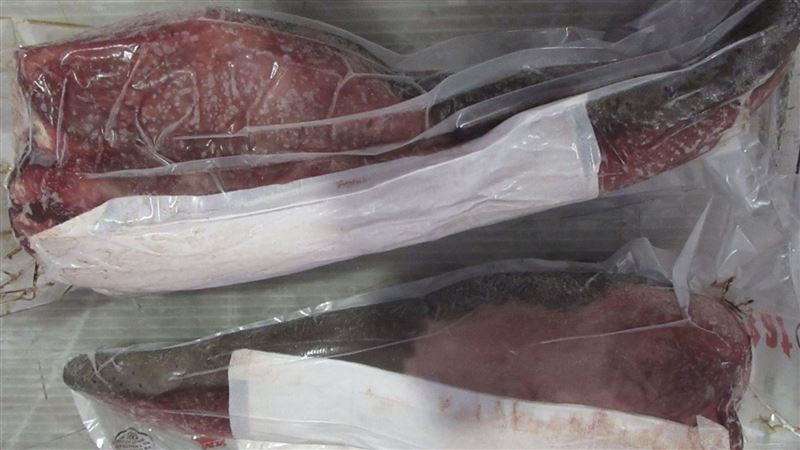美國牛舌檢出弓蟲！25公斤全銷毀