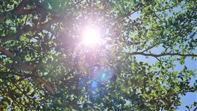 好天氣,太陽,高溫,中暑,熱傷害(翻攝畫面)