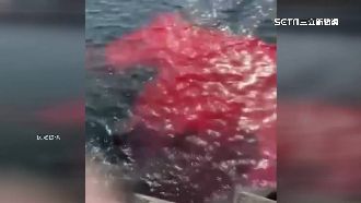 小琉球海漂紅油漆　潛水教練怒：宮廟害的