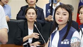 不爽被藍營當工具人　高金素梅氣噗噗開嗆