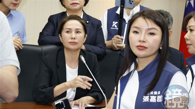 不爽被藍營當工具人　高金素梅氣噗噗開嗆