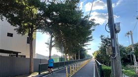 台中,神岡,實價登錄,陳炳辰,台積電