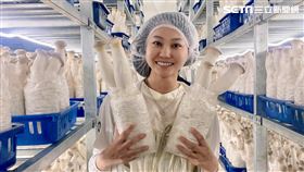 「萬生生技農場」及「洋果農產行」為築間供應菇類。（圖／記者王翊綺攝影）