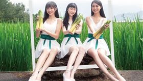 埔里美人腿公主選拔要求穿短裙褲　民代批：物化女性，圖／翻攝自埔里農會官網