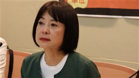 民進黨立委林月琴、吳沛憶與勵馨基金會針對「台北市幼兒園狼師事件」舉行記者會。（圖／林月琴辦公室提供）