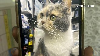 一臉救駕來遲萌樣　台中警助民眾救愛貓