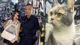 貓皇「等門6hrs」怒離家⋯貓奴急求警協尋