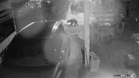 台灣黑熊,農業部林業及自然保育署,監測,獎金,