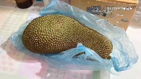 L瓦斯榴槤蜜1300