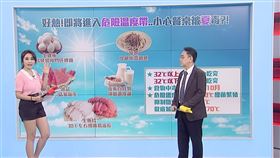 三立iNews財經台健康節目《醫點不誇張》節目