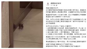 晶匯點回應餐廳有老鼠。（圖／翻攝自晶匯點臉書粉絲專頁）