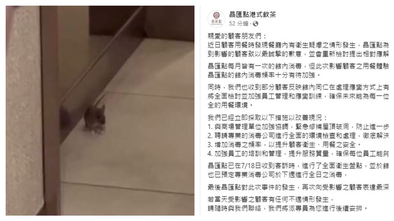 吃飯驚見「老鼠逛大街」！晶匯點回應了