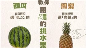 農糧署教用耳多挑水果
（圖／翻攝自農糧署）