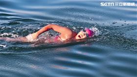 台灣第一人! 許汶而徒手泳渡