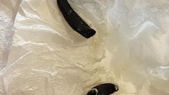 雞湯喝完見馬陸！她再爆同縣市吃麵遇水蛭