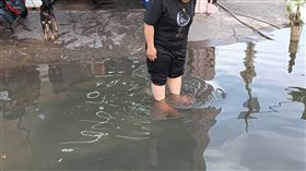 海水,大潮,屏東縣,東港鎮,威尼斯,東津里