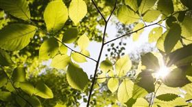 3生肖自16號開始將有橫財連發，財運爆棚，賺錢賺到手軟。（示意圖／pixabay）