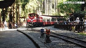 中颱米凱,阿里山森林鐵路