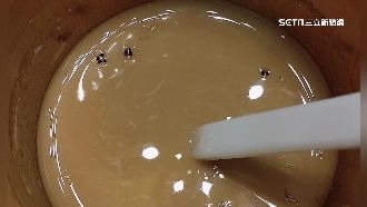 獨／咖啡有蟑螂！ 客：反映後機台繼續用