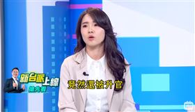 （圖／翻攝自新台派上線）