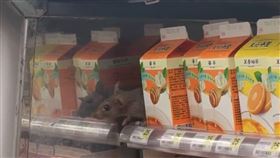 一名網友今天一早就在7-11北捷門市看到「大米奇」橫行商品架。（圖／翻攝自threads @j_h1024）