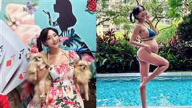 李宓目前懷孕25週。（圖／翻攝自李宓臉書）