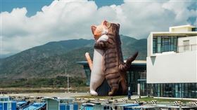 屏東,車城,看海美術館,擁抱貓咪,颱風,凱米