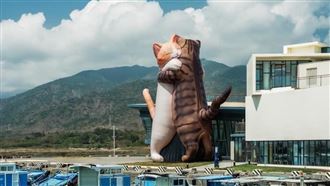 先放颱風假了！擁抱貓咪「放風」萌翻全網