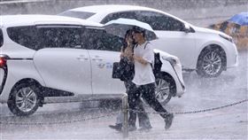 大雨,雨,下雨,雨天,降雨,天氣,氣象,路人。（圖／記者鄭孟晃攝影）