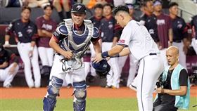 ▲葉君璋在中職明星賽蹲捕。（圖／味全龍提供）