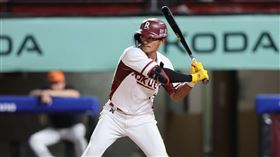 ▲樂天桃猿林子偉。（圖／樂天桃猿提供）