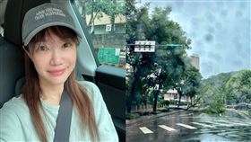 蕭彤雯颱風天出門工作，目擊樹木倒在路中央。（圖／翻攝自蕭彤雯臉書）