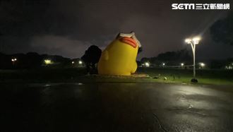 放風了！「書鴨」軟腳放棄掙扎　萌翻全網