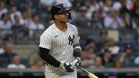 ▲托瑞斯（Gleyber Torres）開轟打回洋基首分。（圖／美聯社／達志影像）