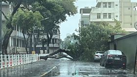 高雄風災(讀者提供)