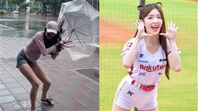 菲菲頂著凱米颱風出門覓食，卻換來一副狼狽慘樣。