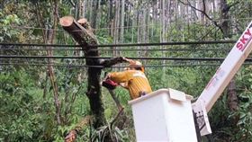 台電人員冒雨急搶修。（圖／台電北西區處提供）