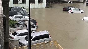 汽車,河堤,南投,貓羅溪