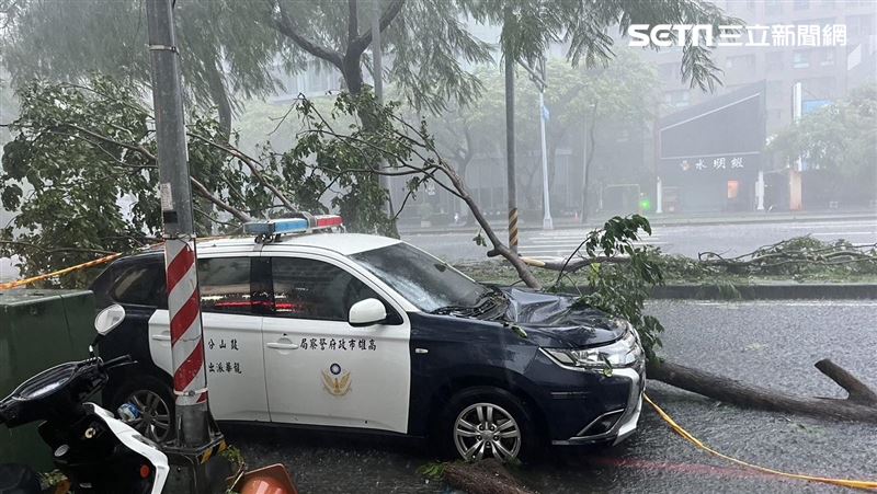 新／凱米颱風重創高雄　連警車都遭樹砸毀